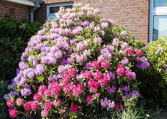 Lägenhet Haus Szameit, Whg 2